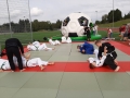 Ju-Jutsu-2