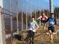 crosslauf2014-054