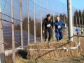 crosslauf2014-058