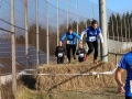 crosslauf2014-062