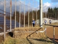 crosslauf2014-077