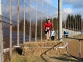 crosslauf2014-083