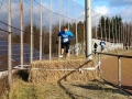crosslauf2014-086