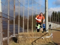 crosslauf2014-098